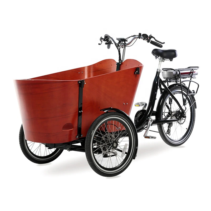Electrico Tricycle Trike Para Adulto E Pasajeros Cargo Electric Pedal