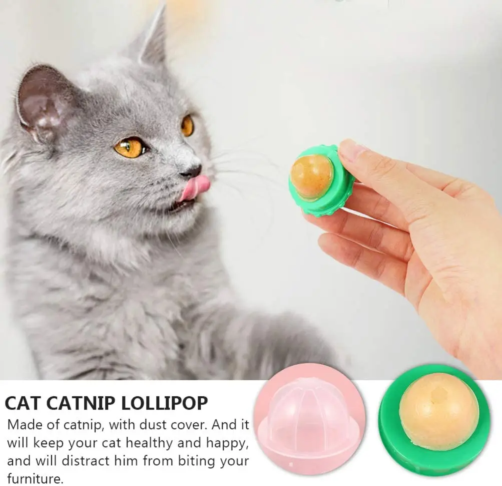 Cat & Gatito Catnip Bola nutrición saludable tratar 45x40mm H5H4 