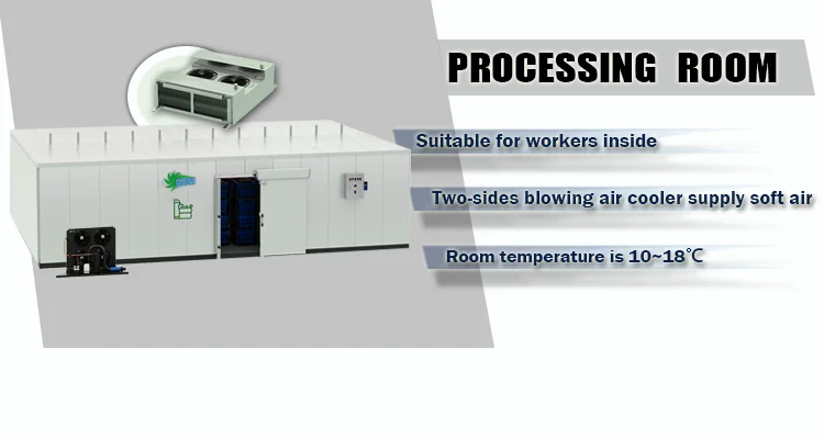 Frozen Meat & Fish Processing - Efficient Cold Room Solutions