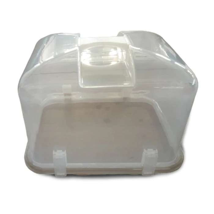 SOLUSTRE 1pc Cake Box Cake Taker Cake Transport Container Food Crisper  Container Cake Container Clear Container with Lid Round Storage Container  Travel Portable Pp Polypropylene Van - Yahoo Shopping