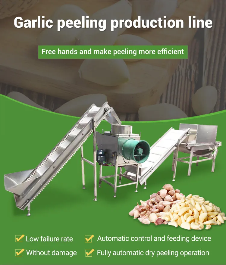 Vertical Automatic Garlic Bulb Remove Clove Peeler Separator Break Peel