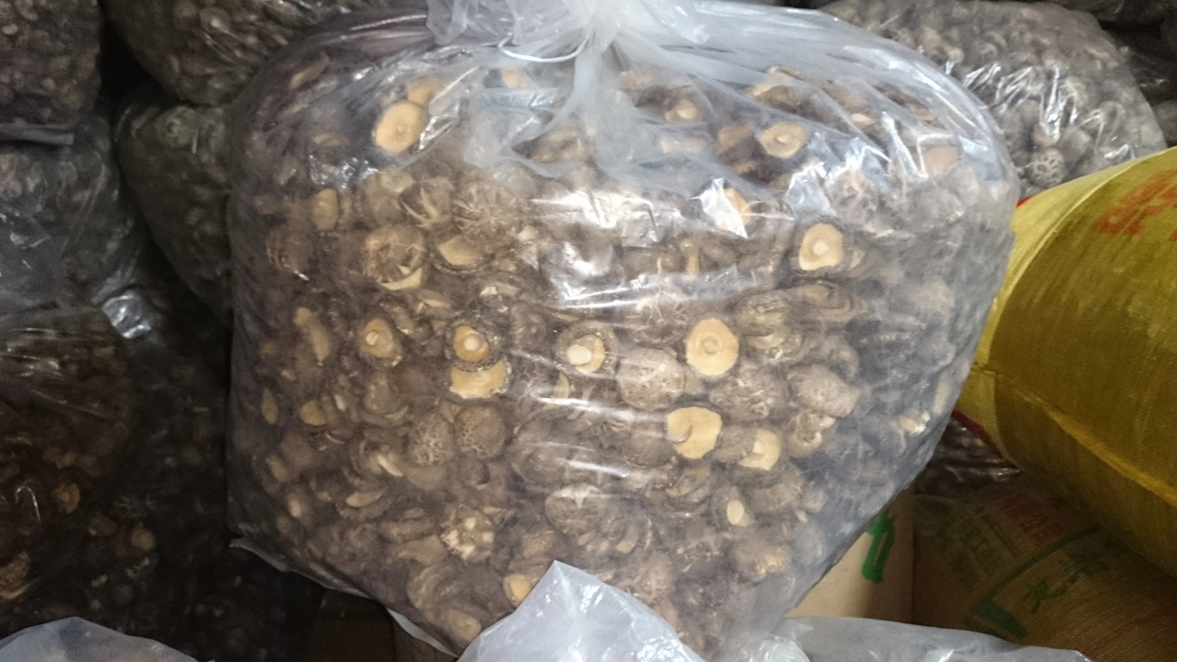 Хит продаж, сухие грибы, грибы шиитаке, грибы оптом