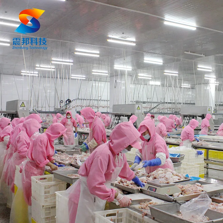 ZB Chicken Duck Goose Turkey Slaughter Machine Small Poultry Breast Cutting Saw Debeaking Machine Processing Operations