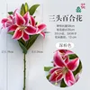 ลิลลี่ก้านสั้นพิมพ์ 3 มิติสามหัว สีชมพูเข้ม
