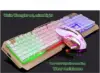 Version lumineuse arc-en-ciel trois couleurs or Tuhao