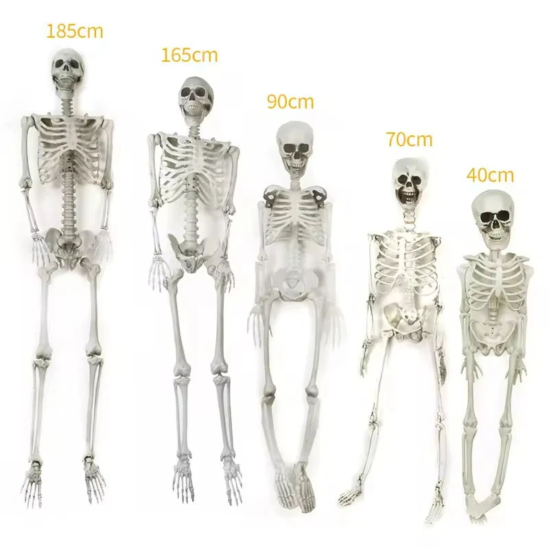Creepy Joints Pos Ablebones Human Realistic Full Body Life Size Plastic Prop Halloween Skeleton for Indoor and Outdoor