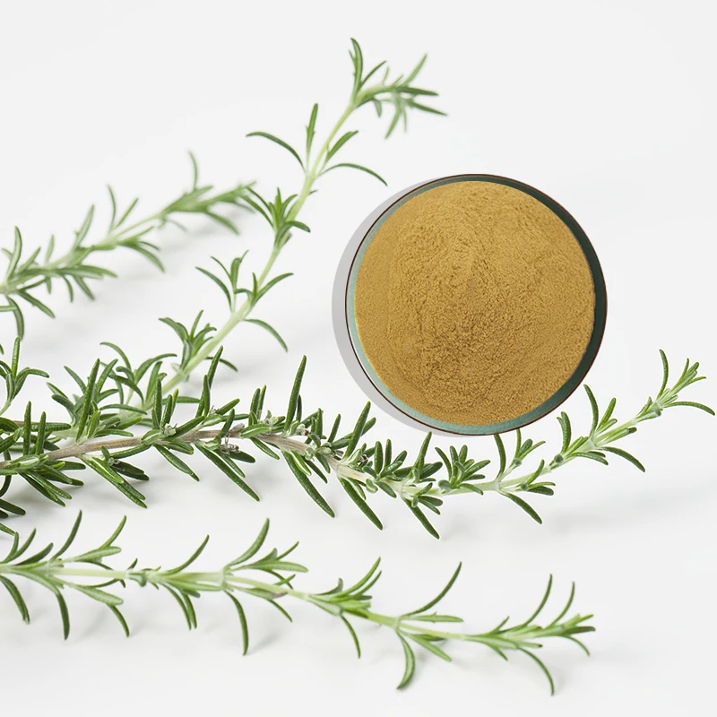 Best Supply Rosemary Extract 598 Rosmarinic Acid Rosemary Extract