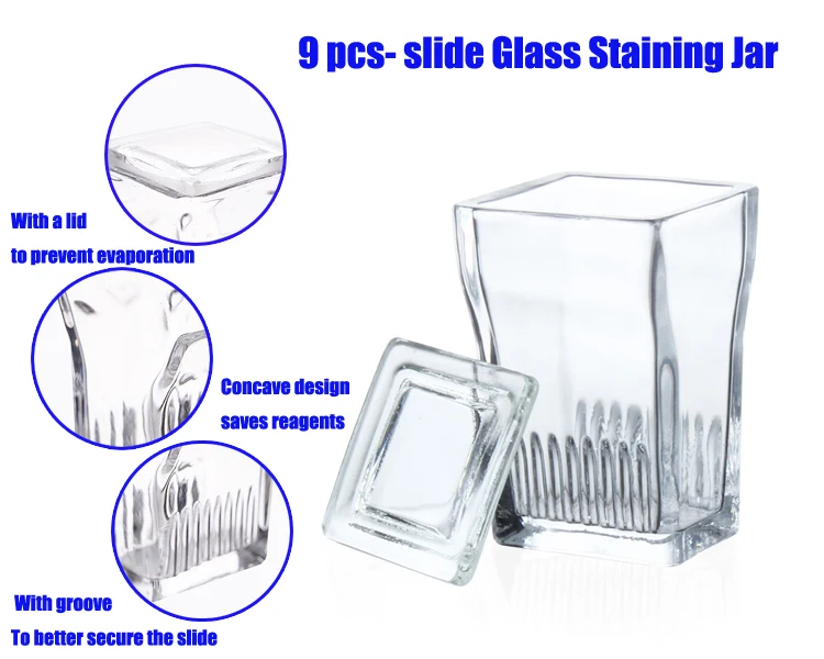 Glass Staining Jar