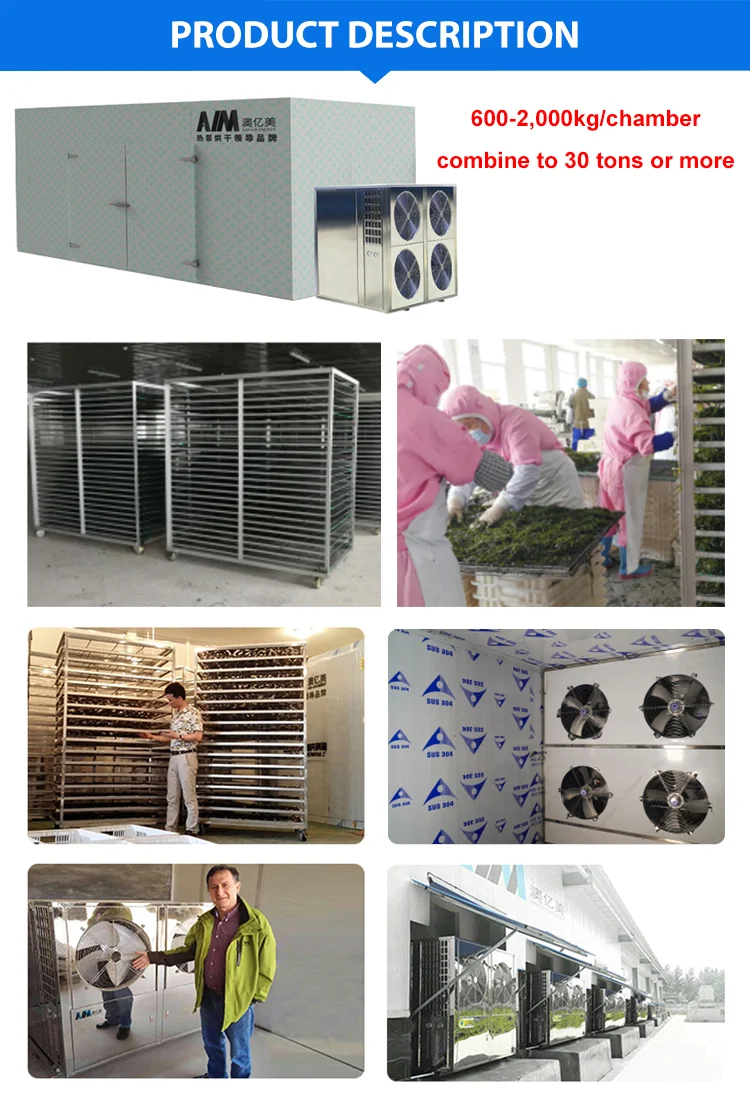 Hot Air Tea Konjac Vegetable Leaf Seed Drying Machine Chamber Dry Oven Saffron Briquette Batch Hemp Herb Dryer Secador De Fruta