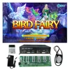 Bird Fairy