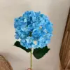 Azzurro di cielo