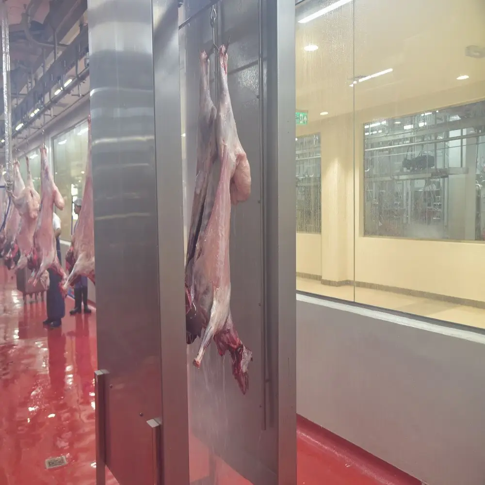 Slaughtering 250 sheep per day, halal mutton slaughtering line, with machines for slaughterhouse