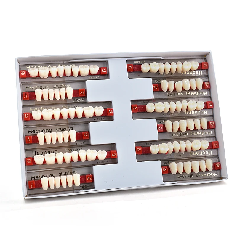 A2 Color Dental Acrylic Denture Resin - False Teeth Set
