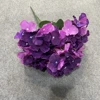 viola 2