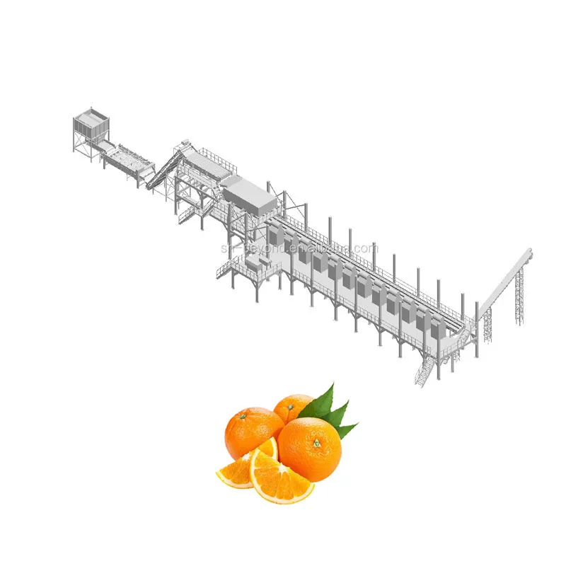 Fresh Orange Concentrate Juice Production Line