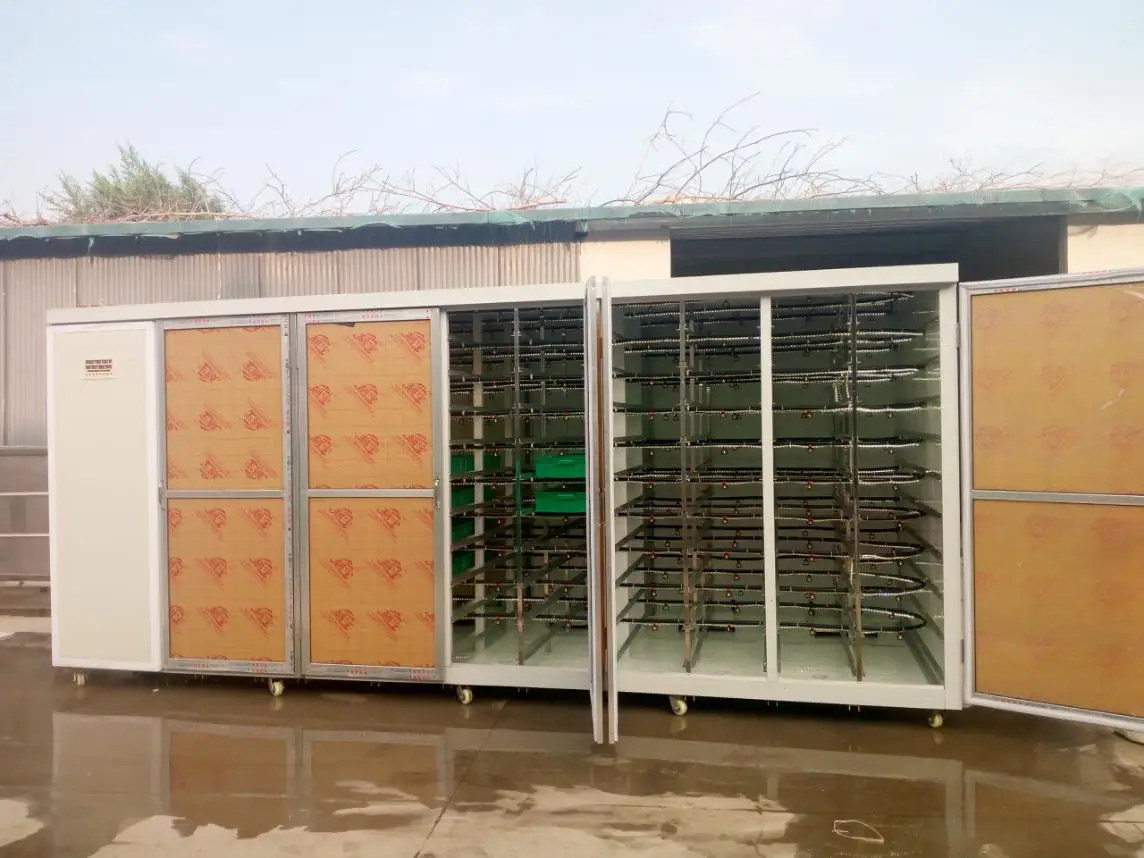Hydroponic Fodder Machine - High Output for Animal Feed