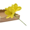 PRF-194   Yellow