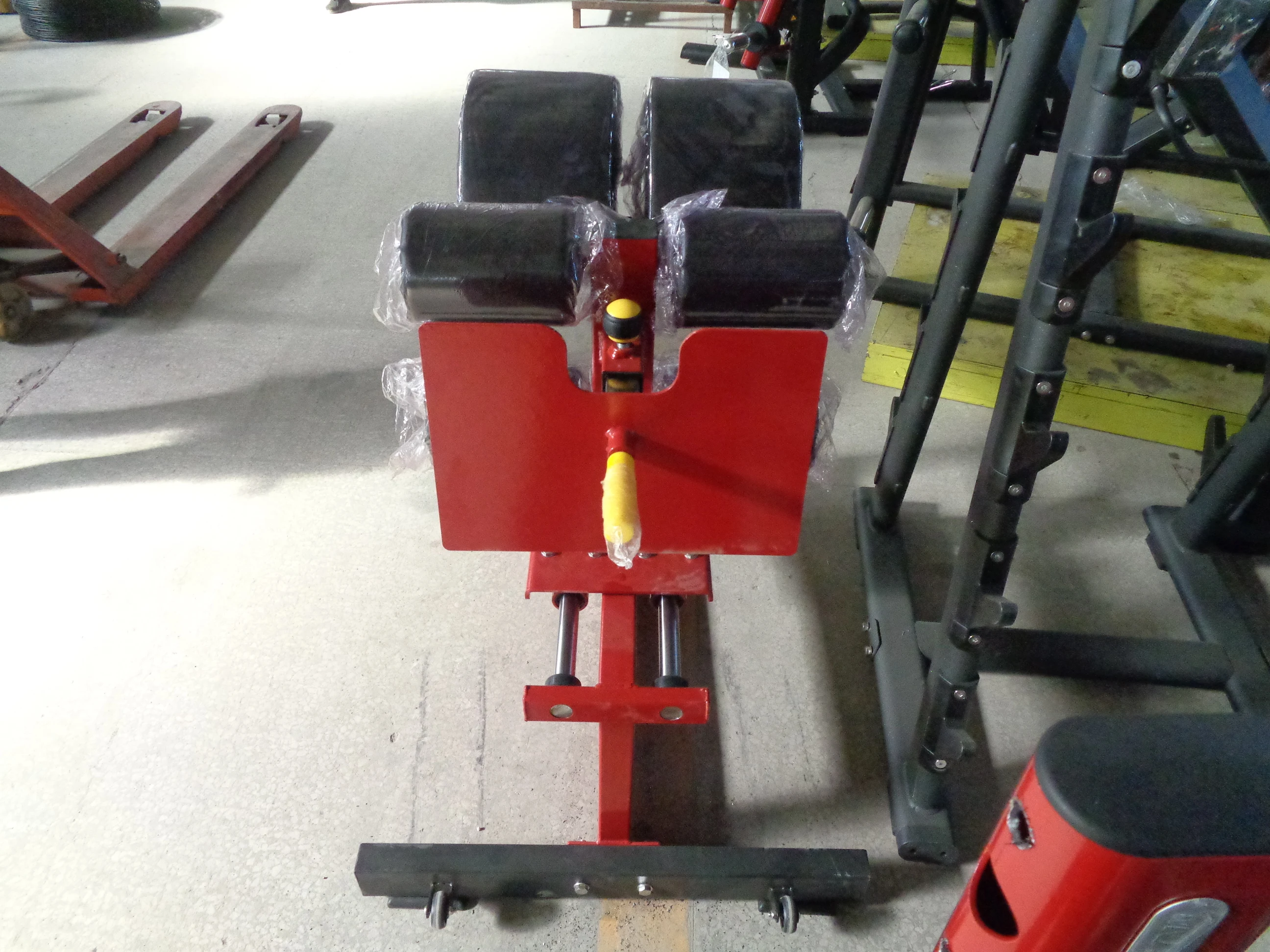 Muscle up Strength Training Gym Machine Glute Ham Developer Commercial Cross Fit Glute Ham Raise Developer Bench  for Sale