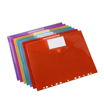 11-Hole Horizontal A4 Color Label Document Storage Box PP Material Student File Folder Snap-On Transparent Cover Wallet Pattern