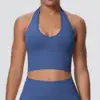 Blue VEST