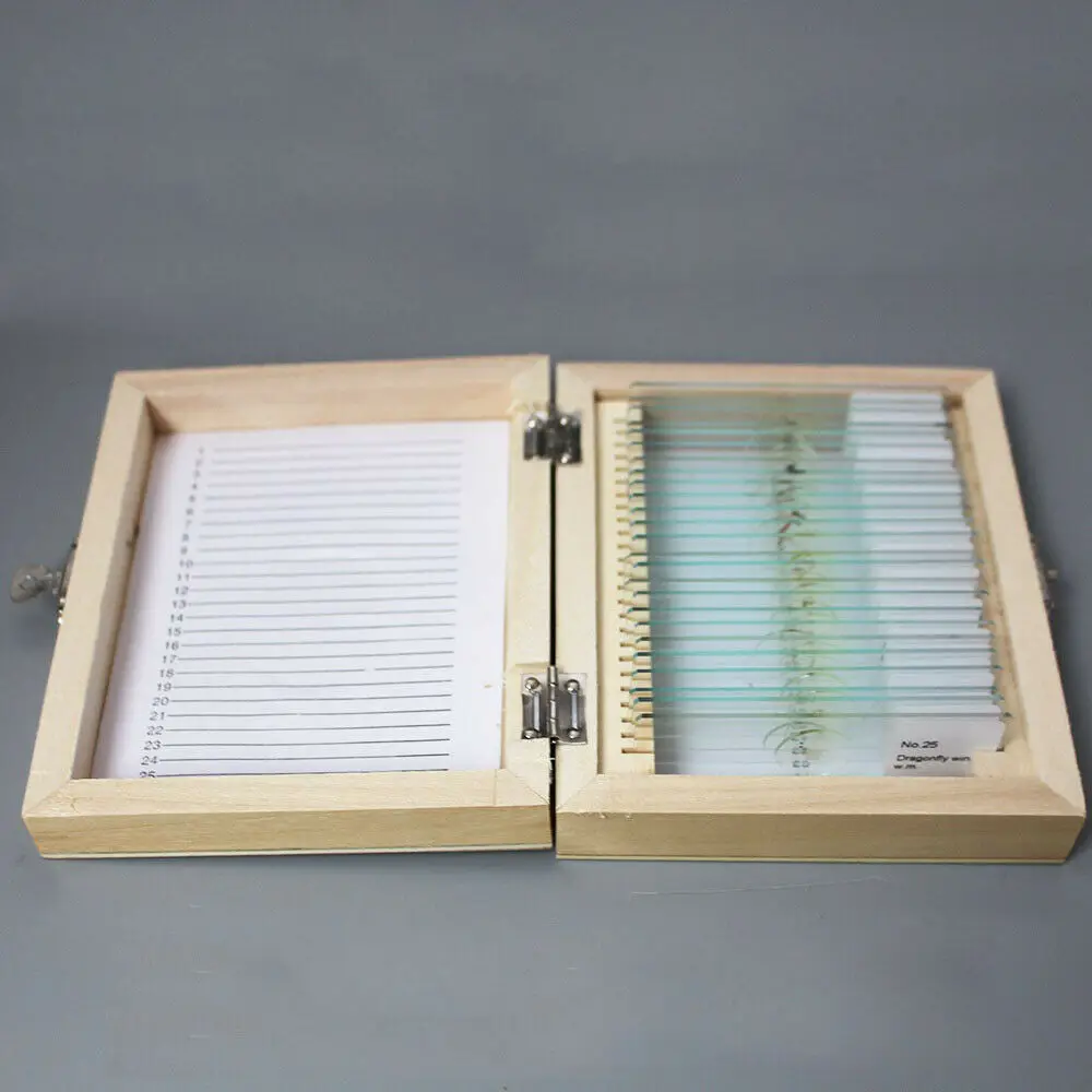 Зуологический микроскоп, стеклянные слайды с амфибией и образцами Ползания для лабораторного обучения