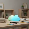 Little hippopotamus colorful