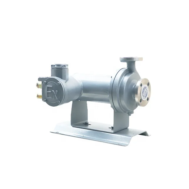 Explosion proof pumps