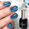 Cat Eye Nail Polish