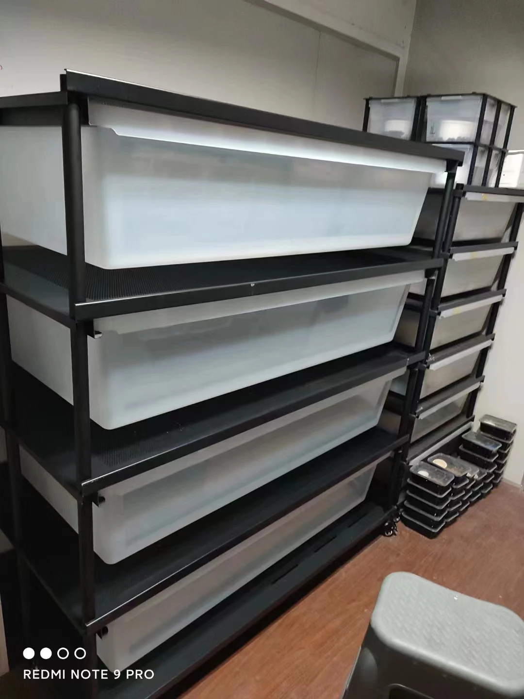 Hot Sale Plastic Tubs Metal Pvc System Breeding Reptile Snake Rack