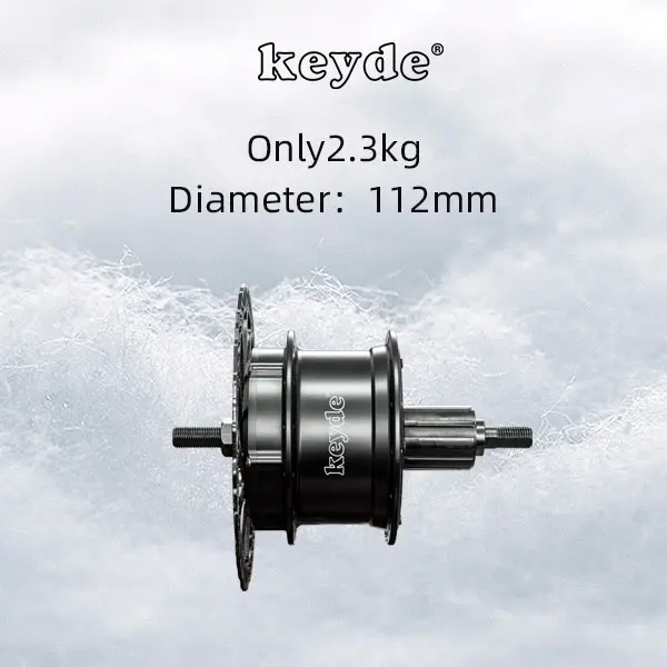 Moteur Sans Balais 350W Pour Roue Arrière De Vélo électrique – 36V/48V, 250W/350W, 36 Trous, Poids 3kg