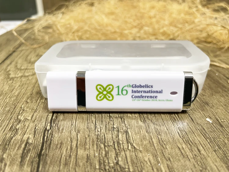 Bulk Cheap Business Gift Plastic USB Flash Drive 1GB 2GB 4GB 8GB 16GB 2.0 USB Stick Pen Drive with Custom Logo - ANKUX.COM