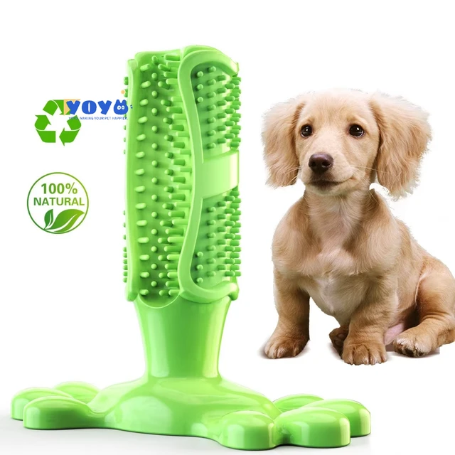 Hot Selling Yoyo Dog Chew Toys Durable and Clean TPR Rubber Dental Care Essentials for Pups