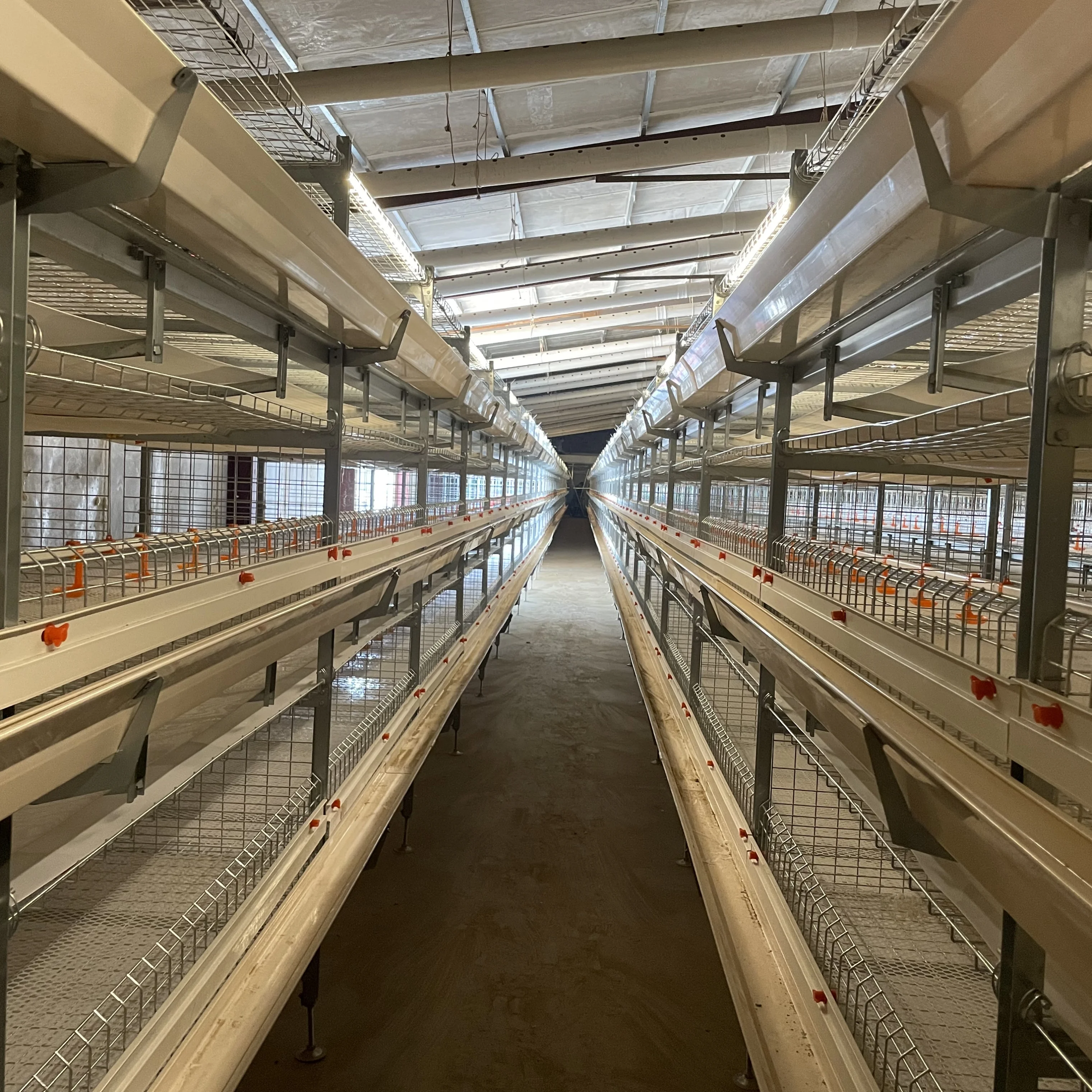 Broiler Cage Automatic h Shape with Trolley Feeding System Battery Cages for Poultry Broiler Long Life Chicken Broiler Cage