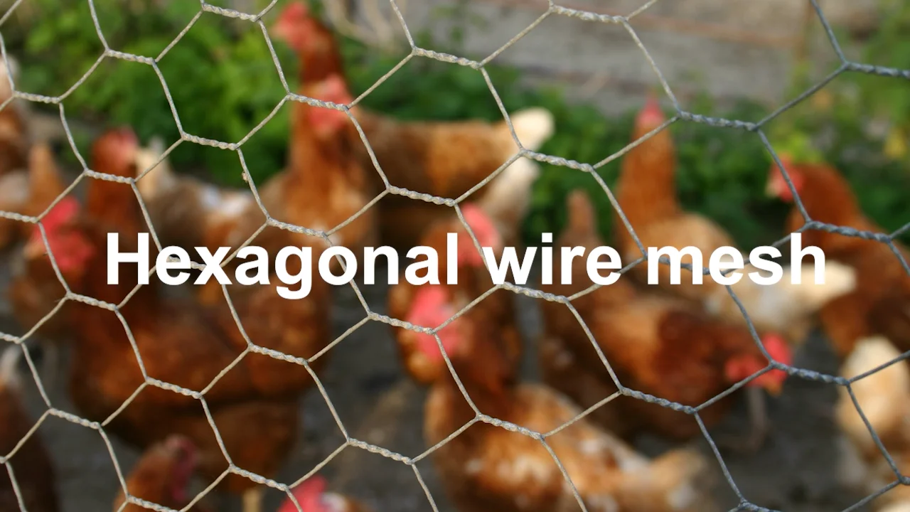 Hot Dipped Galvanized Or Pvc Coated Crab/lobster/fish Trap Fence