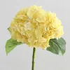 สีเหลือง