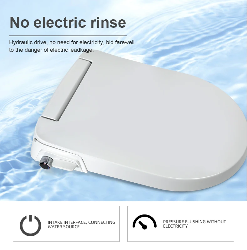 Cold And Hot Water Toilet Lid  Custom D shape Non Electric Bidet Toilet Seat Cover Luxury Dual Nozzle Bidet Seat details