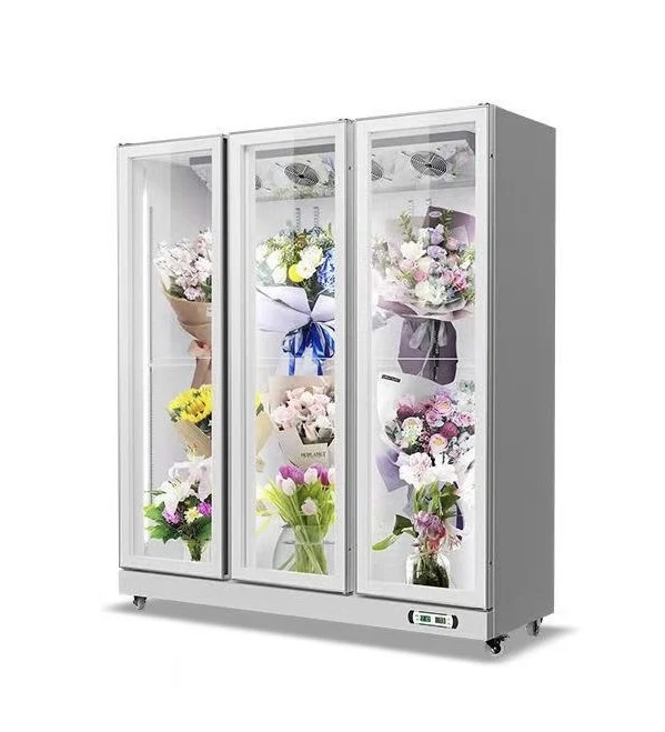High Quality Glass Door Walk-In Coolers for Floral Shops Air-Cooled with  Best Price