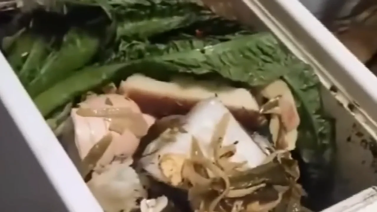 Togo Organic Food Waste Recycling Machine To Make Compost At Home Buy