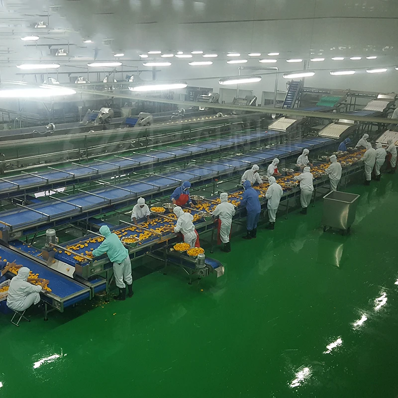 LWT Automatic Packaging Machine for Canned Fruit Cucumber Artichoke Lychee Olive Apricot Processing Line