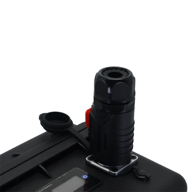 Rechargeable High Discharge Rate 12V Deep Cycle Lithium Battery 12V 100Ah 200 Ah 60Ah 20Ah 460Ah Lifepo4 Battery Power Station