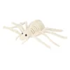 White-Spider