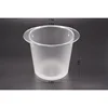 transparent