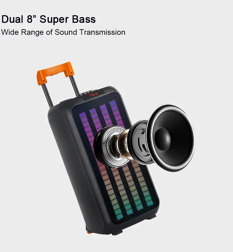 Ndr 1098 Professional Big Speakers Outdoor Dj  Speaker Karaoke for Loa