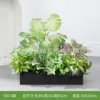hc-Y60-6 es adecuado para jardineras de 60 cm.