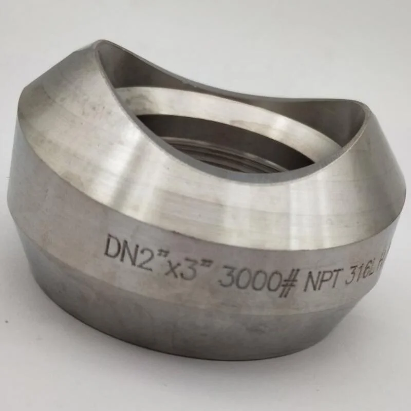 Forged Weld Fitting Thread Weldolet Carbon Steel Stainless Steel Pipes Head