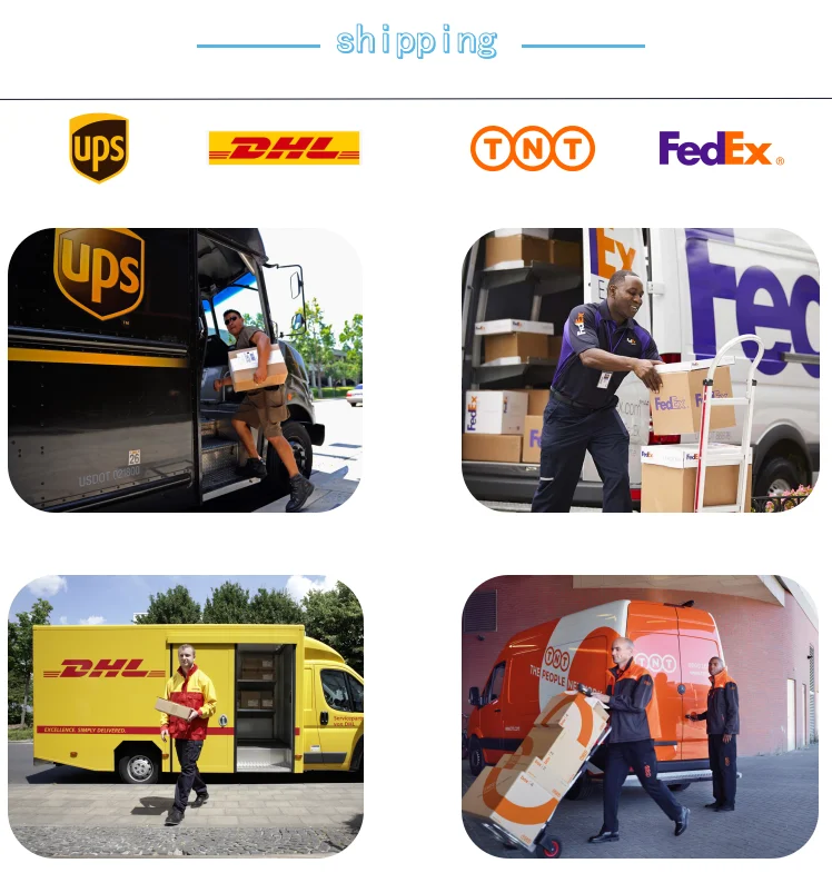 New Design Pink Cute Snail Eyelash Curler Wholesale Custom Private