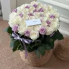 purple mist  rose woven basket-52 roses