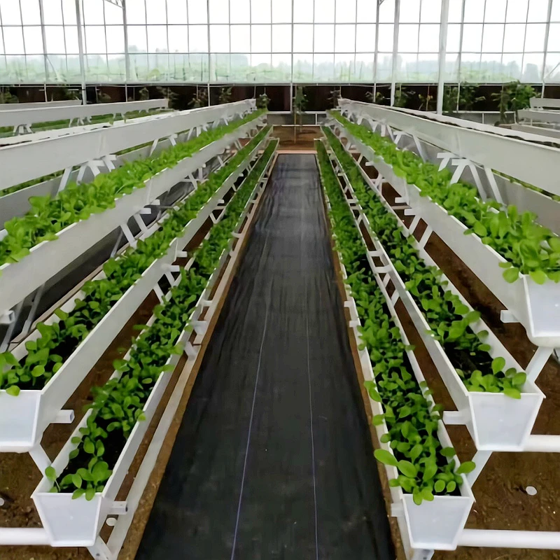 Strawberry Growing Gutter for Sale Vertical Farming
