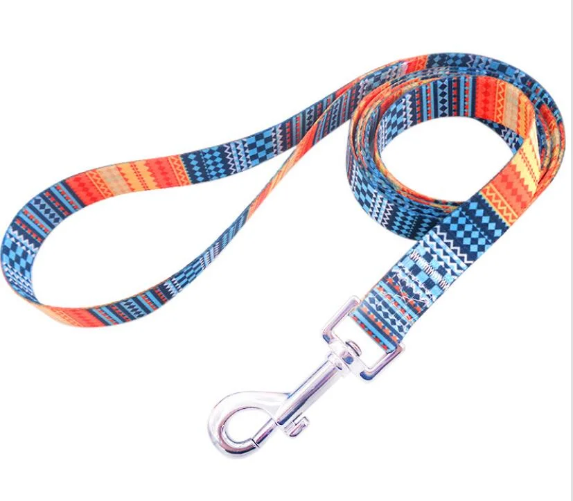 recall leash
