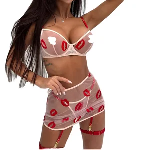 2026 Women's Sexy Lingerie Set Factory Supply Sheer Mesh Slim Dress Two-Piece Outfit Red Lips Embroidery Erotic Lace Wholesale
